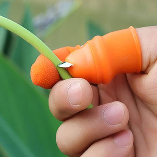 Sharp blade for precise and slicing tasks