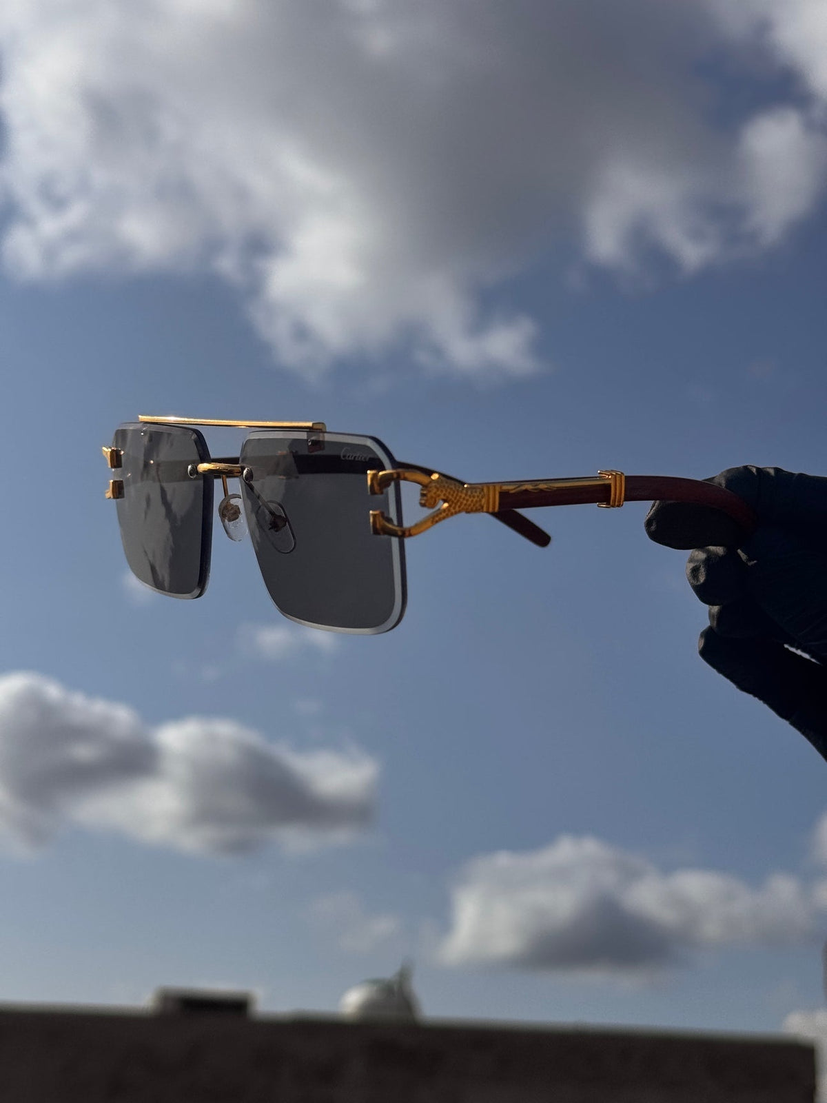 Solar cheeta glasses 100% original