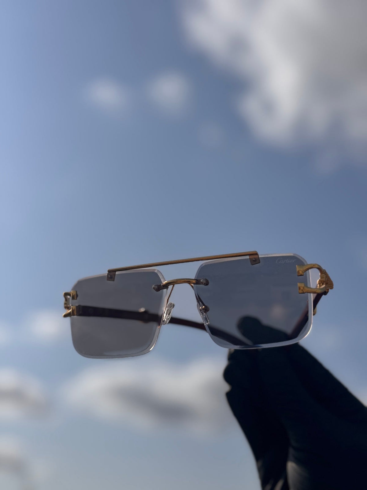 Solar cheeta glasses 100% original